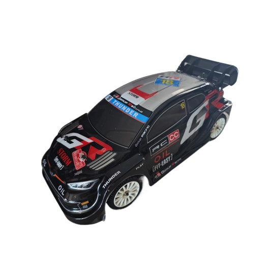LC RACING  PTG2R 1/10 RC RALLY CAR RTR