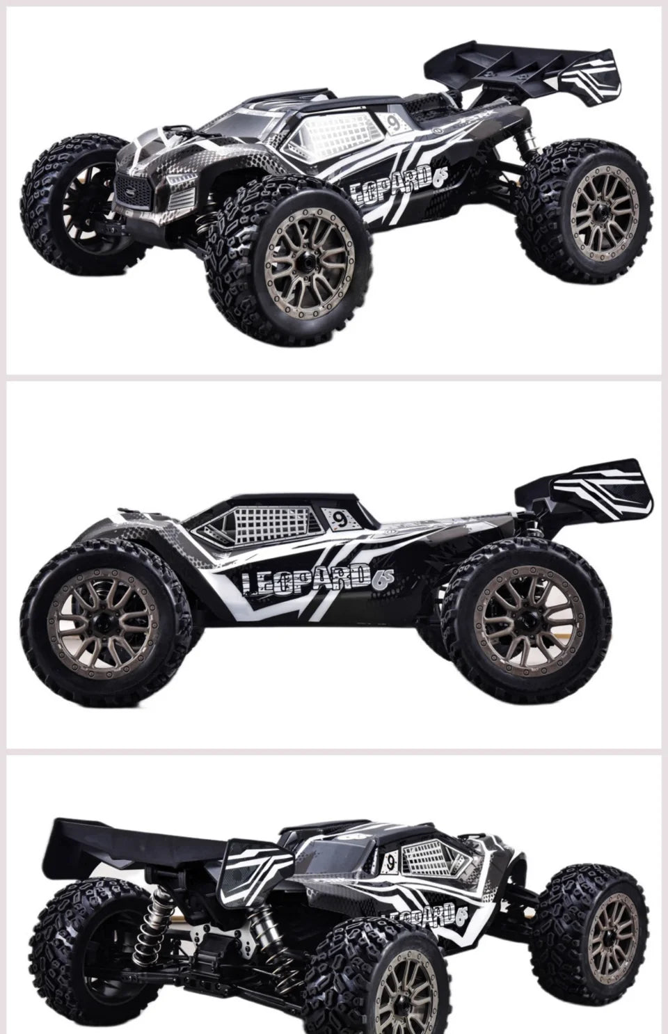FS Racing FSR Leopard 6S V2 1/8 4wd Brushless RC Car  RTR