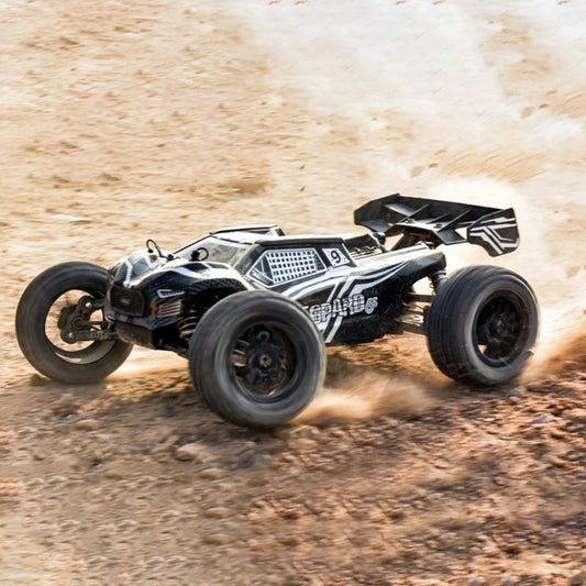 FS Racing FSR Leopard 6S V2 1/8 4wd Brushless RC Car  RTR