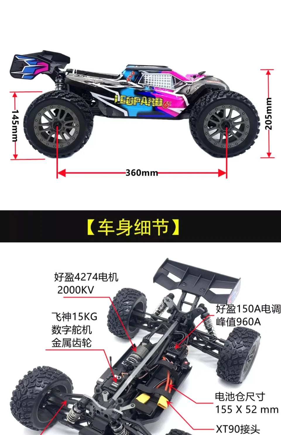 FS Racing FSR Leopard 6S V2 1/8 4wd Brushless RC Car  RTR